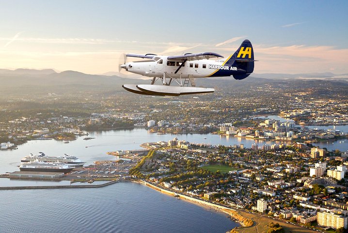 Seaplane Flight to Victoria and Whale-Watching Cruise